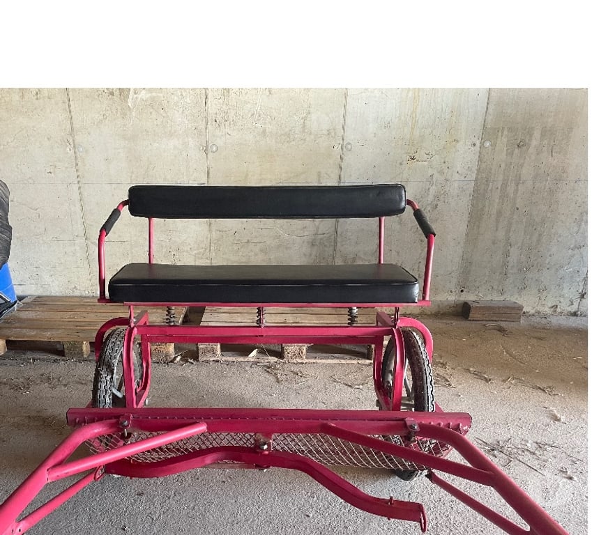 Services, accessoires animaux Bas-Rhin Lingolsheim - 67380 - Photos Vivastreet Sulky rouge 2 roues + harnais cognac (Strasbourg)