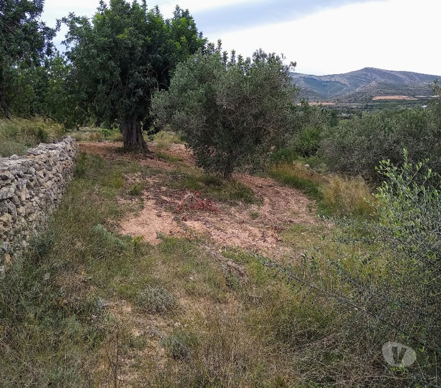 Vente Terres Agricoles Espagne - Photos Vivastreet Maison à réformer au milieu des champs irrigués et secs