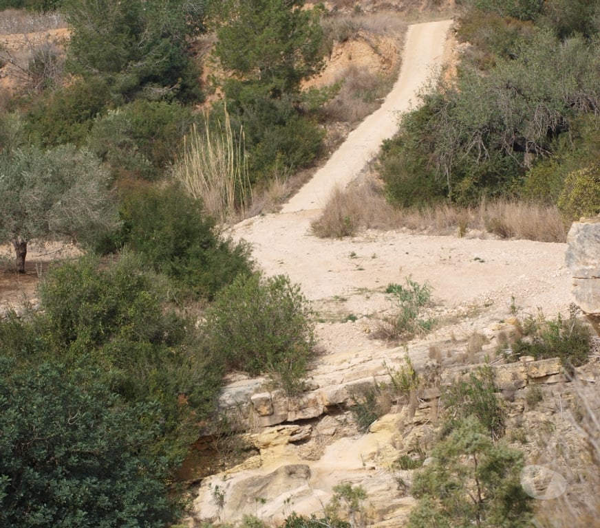Vente Terres Agricoles Espagne - Photos Vivastreet Maison à réformer au milieu des champs irrigués et secs