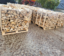 Bois de chauffage pour cet hiver