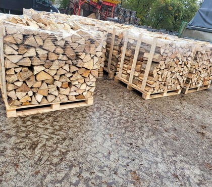 Bricolage - Jardin - Outillage Gradignan Gironde - Photos Vivastreet Bois de chauffage pour cet hiver