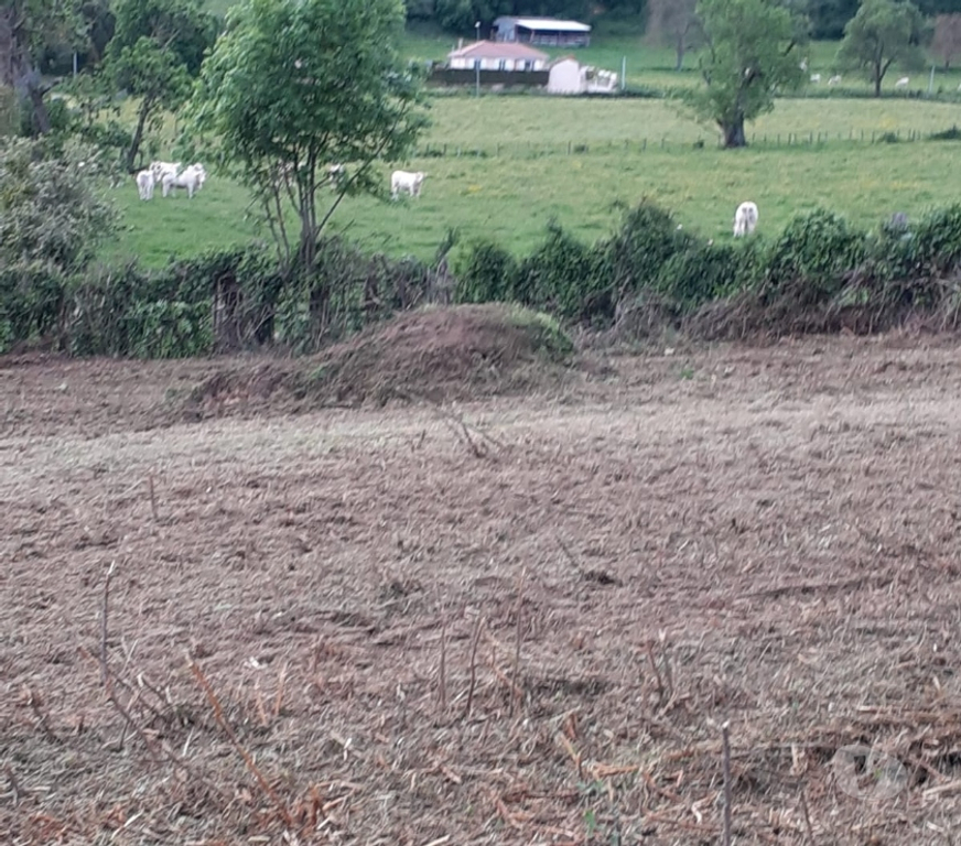Terrain à vendre Isère Le Grand Lemps - 38690 - Photos Vivastreet Terrain constructible 1166 m2 Le Grand-Lemps 38690