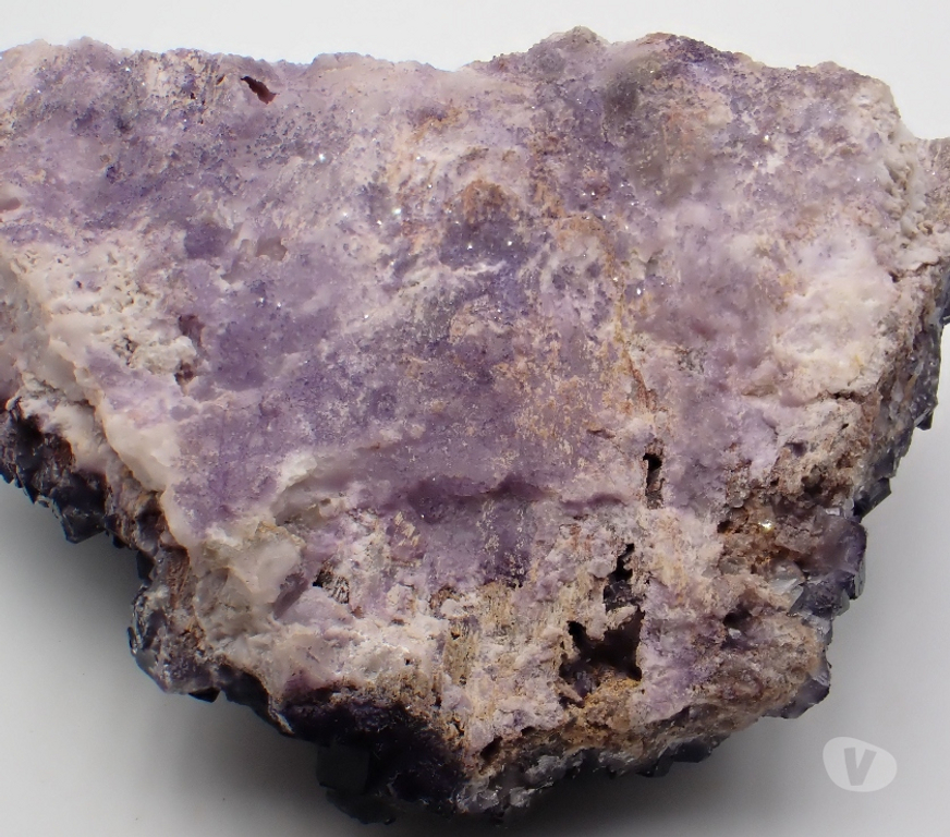Collection Meurthe-et-Moselle Bertrichamps - 54120 - Photos Vivastreet Fluorite XXL , Mine Esperanza , Musquiz , Coahuila , Mexique