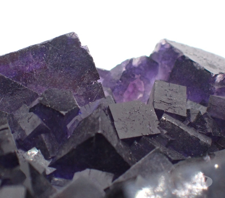 Collection Meurthe-et-Moselle Bertrichamps - 54120 - Photos Vivastreet Fluorite XXL , Mine Esperanza , Musquiz , Coahuila , Mexique