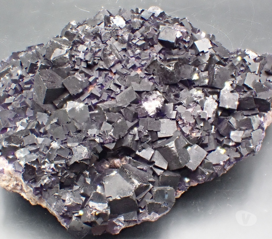 Collection Meurthe-et-Moselle Bertrichamps - 54120 - Photos Vivastreet Fluorite XXL , Mine Esperanza , Musquiz , Coahuila , Mexique