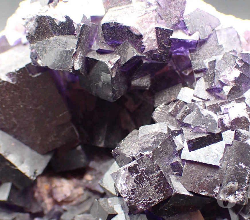 Collection Meurthe-et-Moselle Bertrichamps - 54120 - Photos Vivastreet Fluorite XXL , Mine Esperanza , Musquiz , Coahuila , Mexique