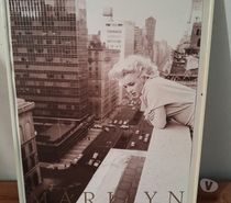 Photos de marilyn Monroe
