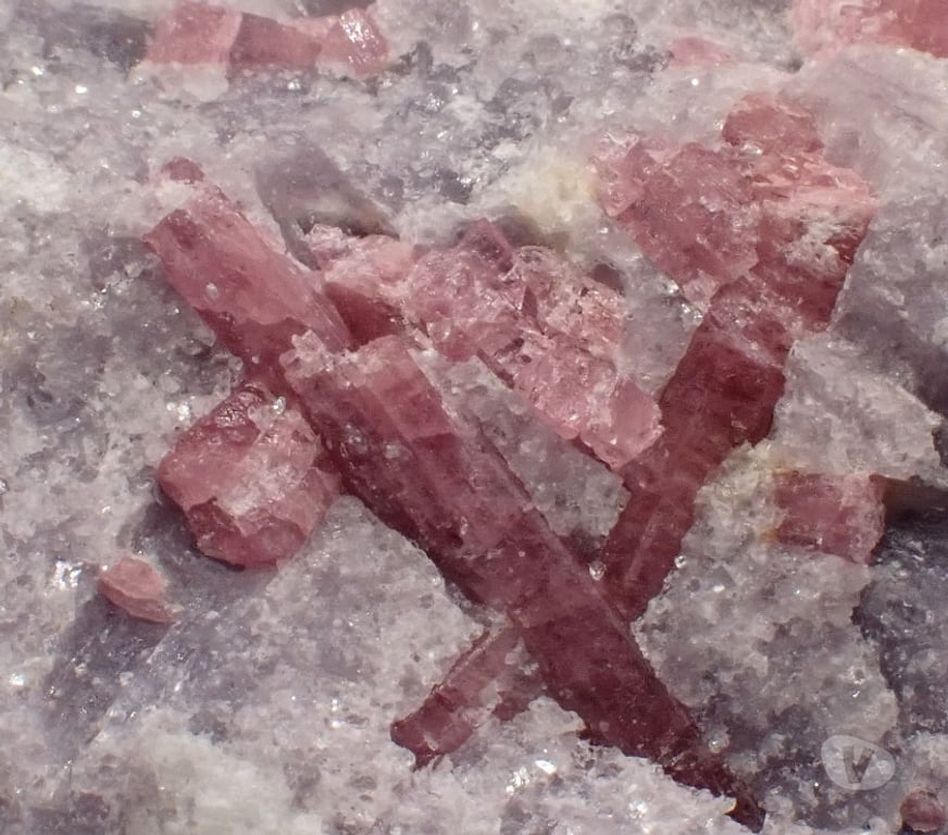Collection Meurthe-et-Moselle Bertrichamps - 54120 - Photos Vivastreet Tourmaline Rubellite & Lépidolite , Mine Stewart , Pala
