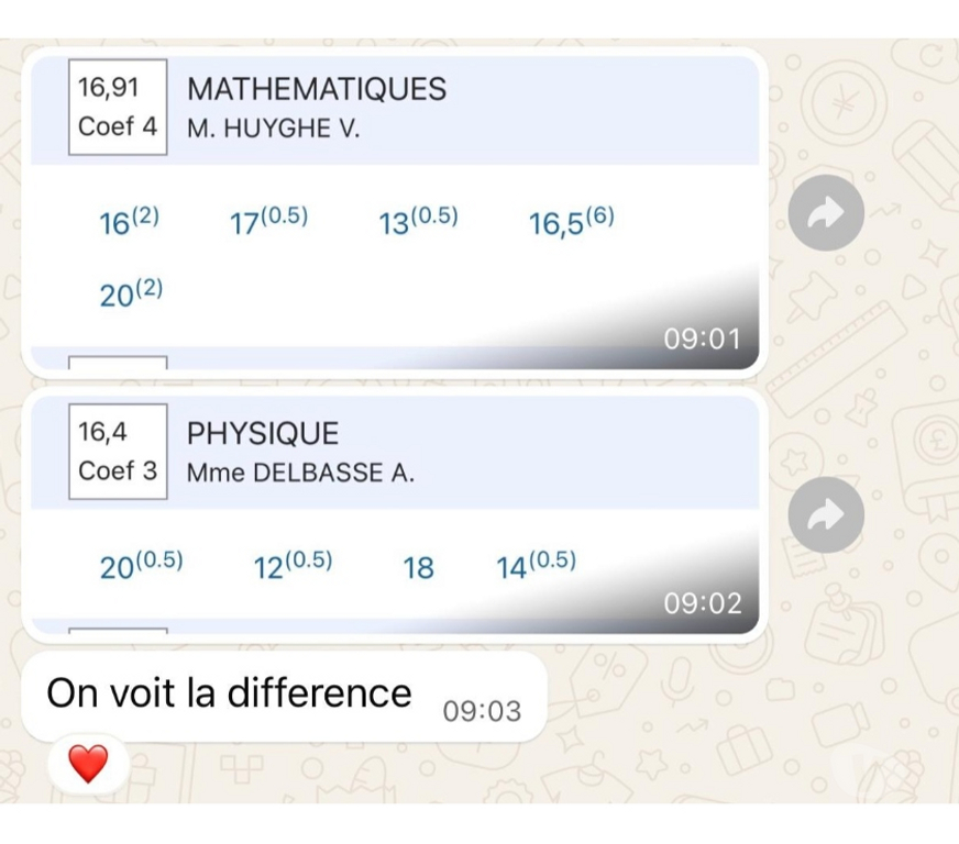 Soutiens scolaires Nord Lille - Photos Vivastreet Cours de Maths & Physique – Élève Centralien ex prepa