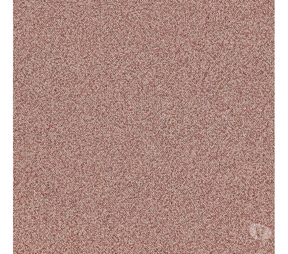 Ameublement & art de la table Lille Lille - Photos Vivastreet Hellrosa T&T 101 Blush Teppichfliesen Jetzt pour 4,00 €