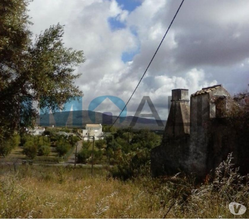 Photos Vivastreet Terrain mixte avec 7680m2 à Brancanes près de Olhão T-841