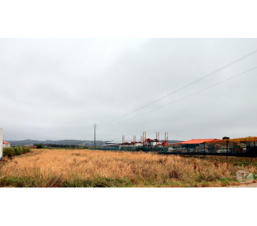 Photos Vivastreet Terrain - Bombarral - 2400m2