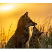 Centre Zen..Catherine