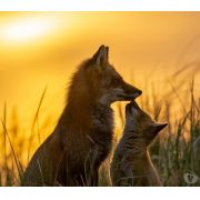 Centre Zen..Catherine