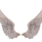 Les Aventures Des Anges 