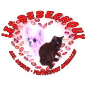 Agence Les Bébéchoux