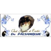 De Palsamblue