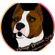 Elevage Deamon Style