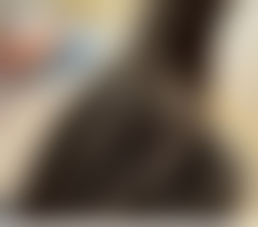 Trans Escorts South Yorkshire Rotherham - Photos for AVAILABLE NOW, TEXT ONLY