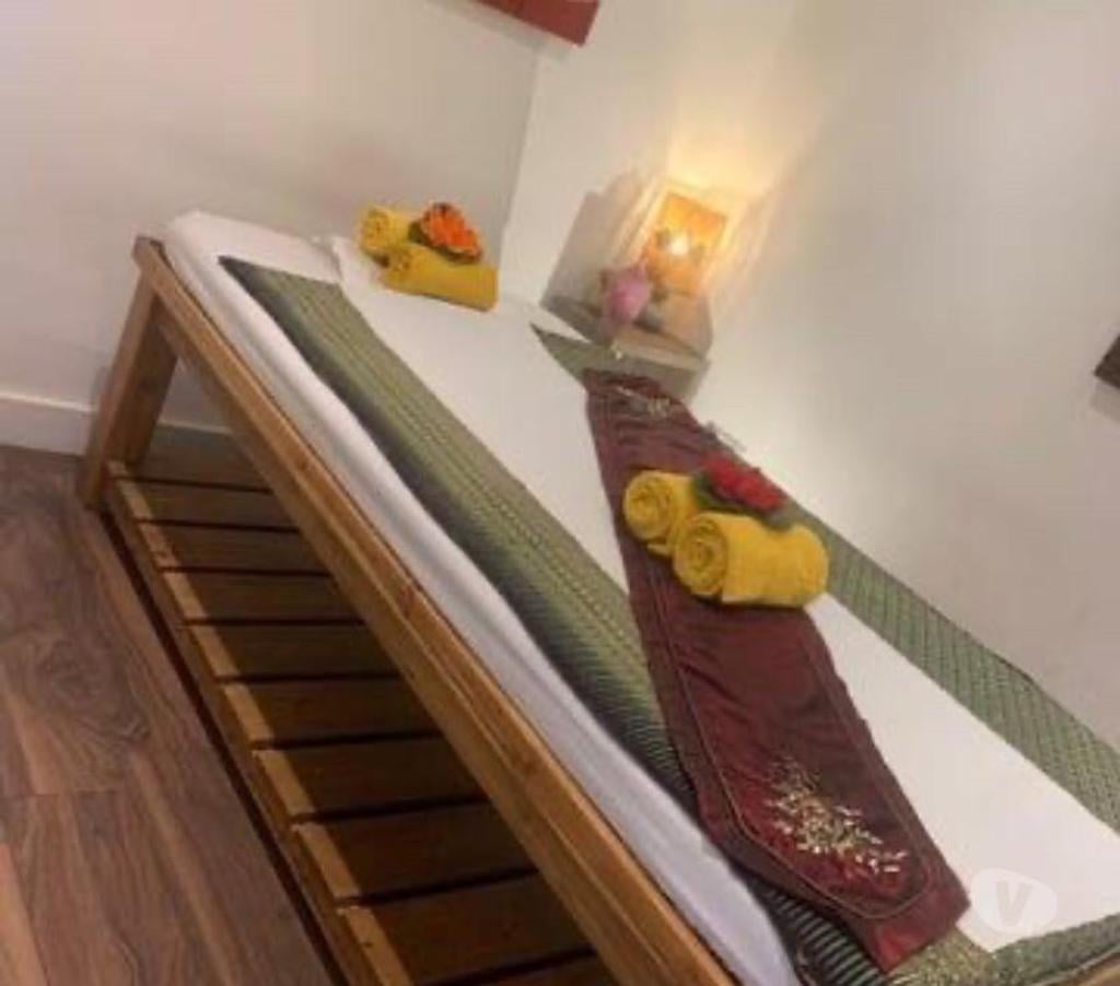 A PROFESSIONAL MASSAGE THERAPIST Burton LN1 massage