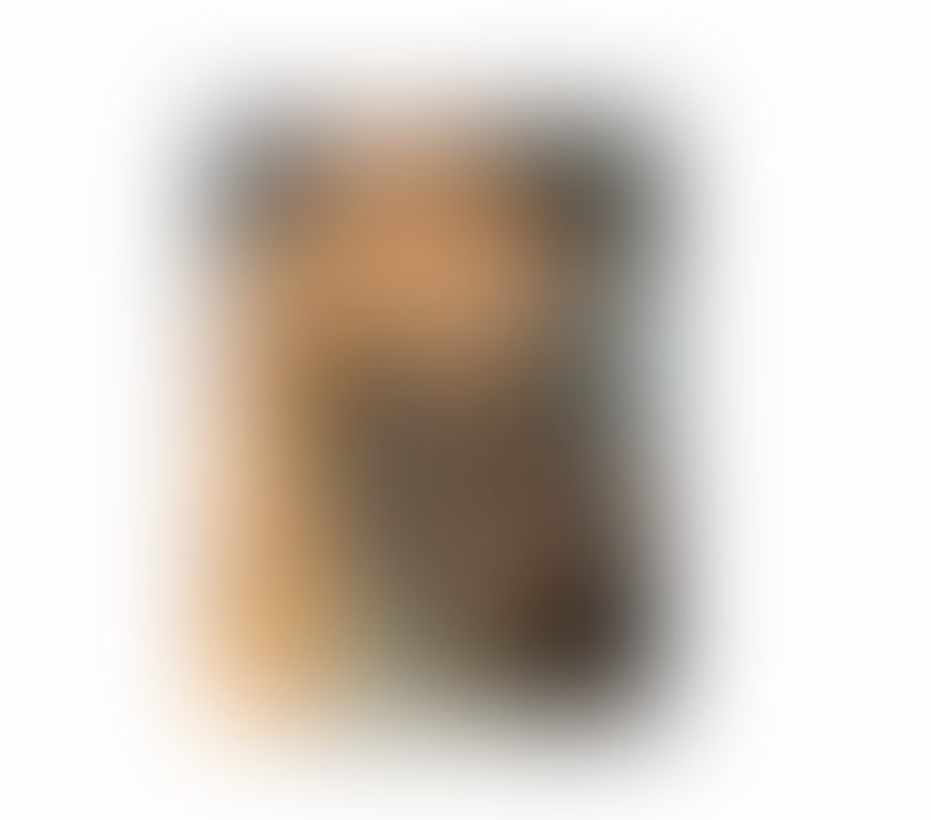 Escorts West Northamptonshire Northampton - West Northamptonshire - Photos for African Goddess