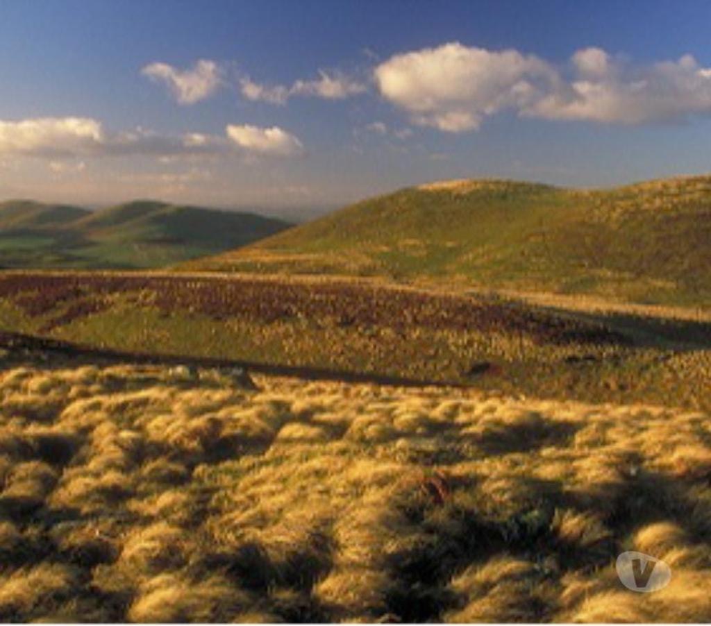 Willerby Manor for sale Wooler in Northumberland Wooler NE71 324535075