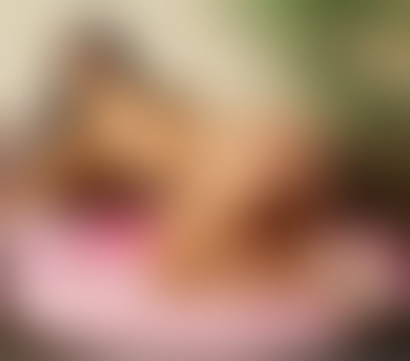 Escorts West Midlands Birmingham - Photos for SOPHIA SWEET BRAZILIAN ***REAL PICTURES ***