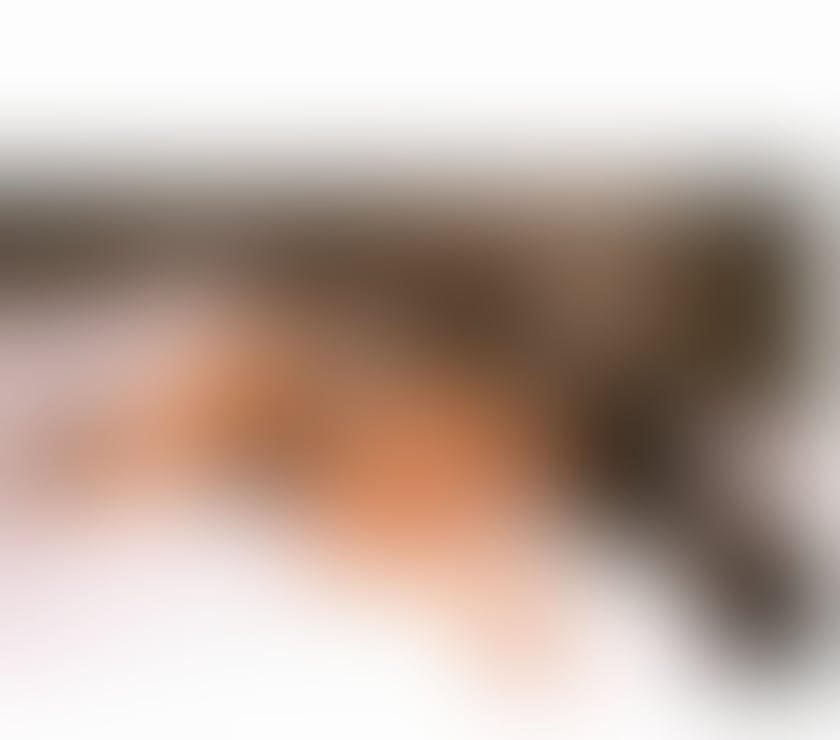 Escorts North London Tottenham Hale - North London - Photos for New girl in town 100%♥️