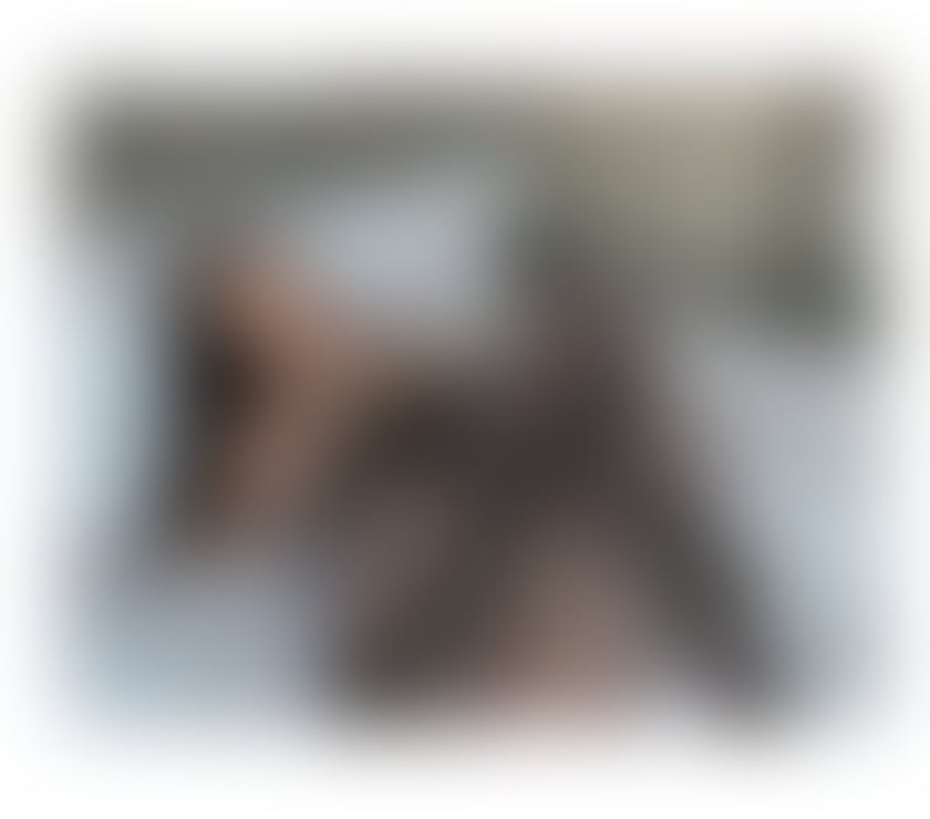 Escorts North Yorkshire Middlesbrough - Photos for Sophya💝Great company and excellent service🤗💕