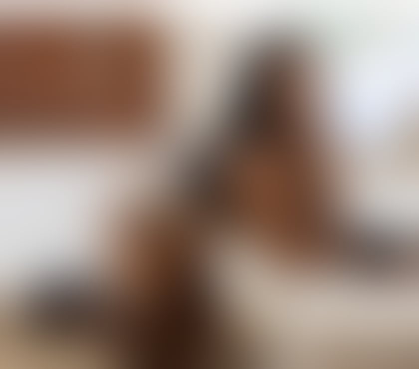 Escorts Dundee Dundee City Centre - Dundee - Photos for CAROL😍REAL 🔞PHOTOS COMFIRM 🥰WITH,TATTOS💯