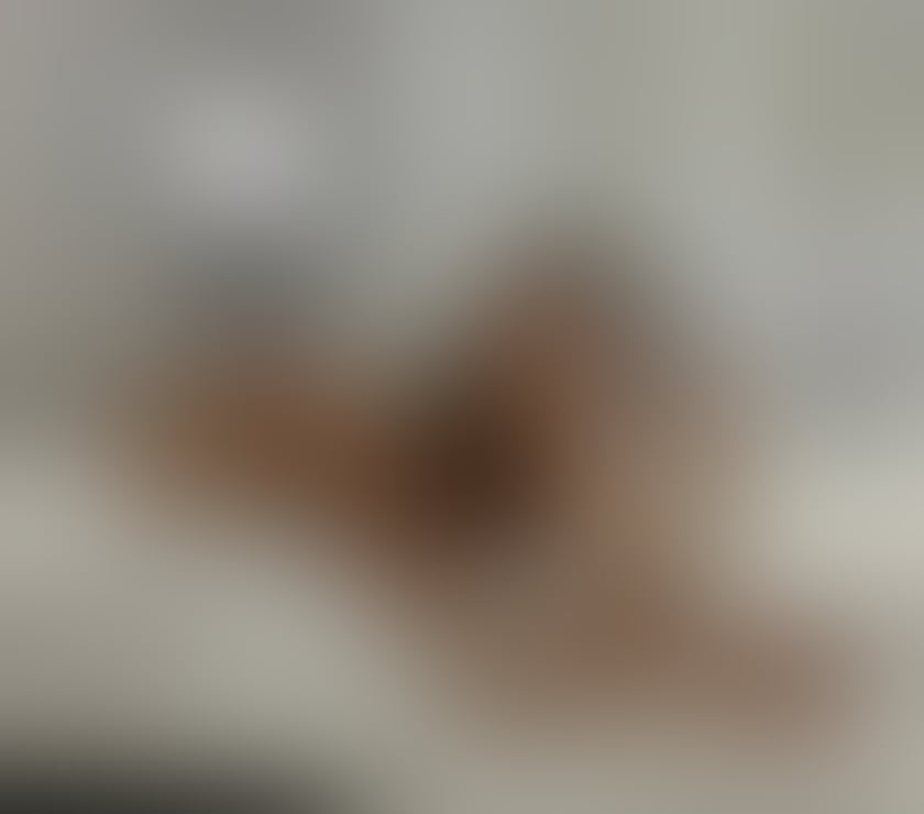 Escorts Bristol Bristol City Centre - Bristol - Photos for Olivia new in Bristol gfe no rush services
