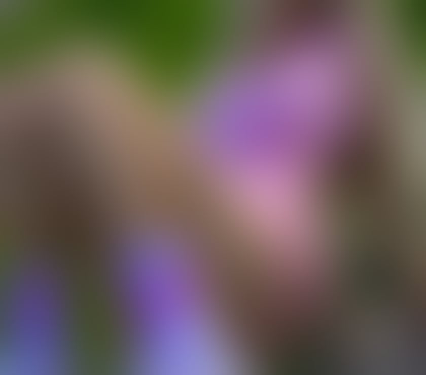 Escorts Brent Wembley - Brent - Photos for xx Alisha xx New girl in town