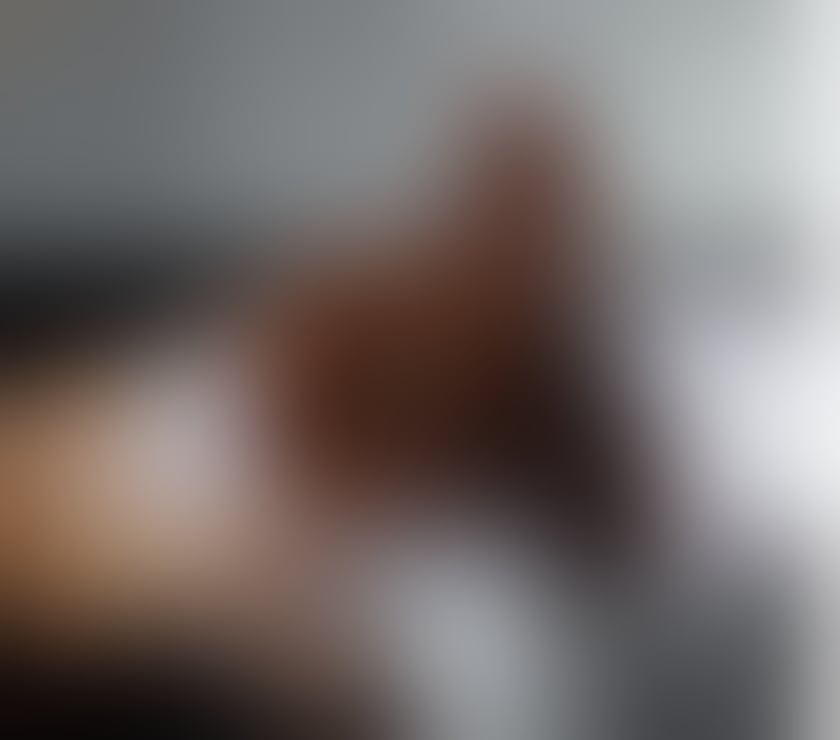Escorts Somerset Bath and North East Somerset - Photos for SABRINA PEACH 100% REAL 🍑😈