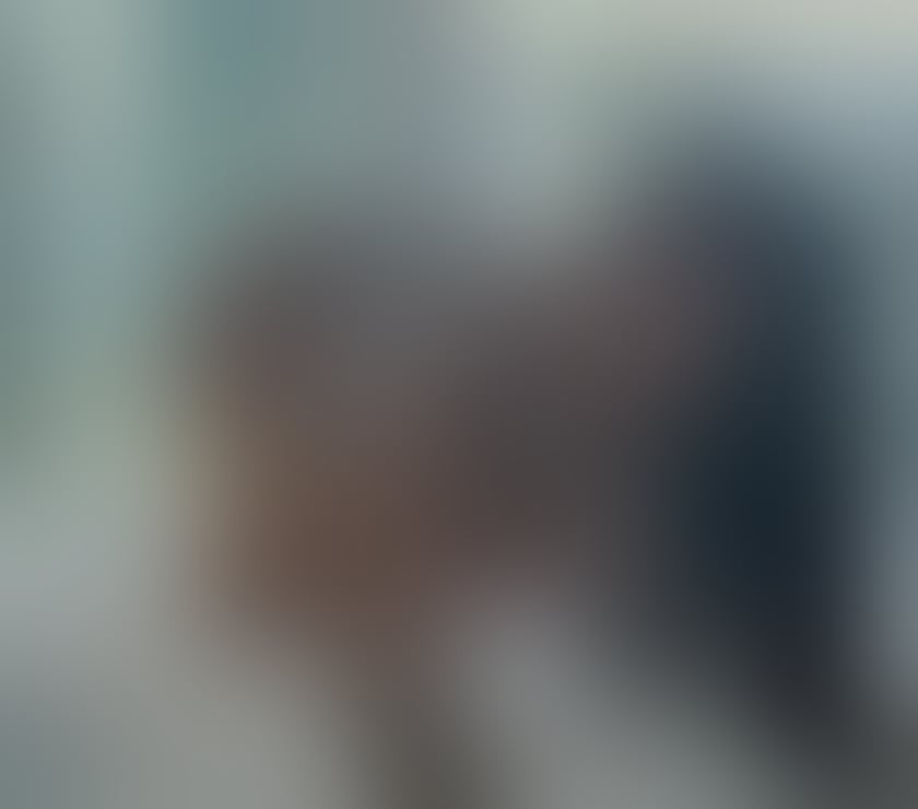 Escorts Suffolk West Suffolk - Photos for 🥰NEW IN TOWN❤️ REAL PICTURES 🥳
