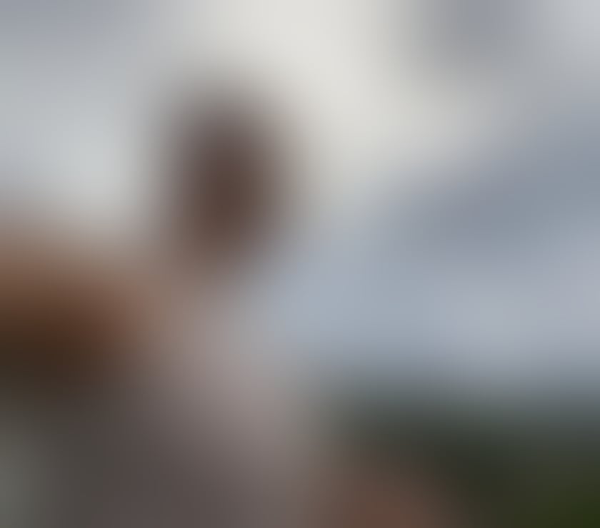 Trans Escorts East London Canary Wharf - East London - Photos for Hosting in East London
