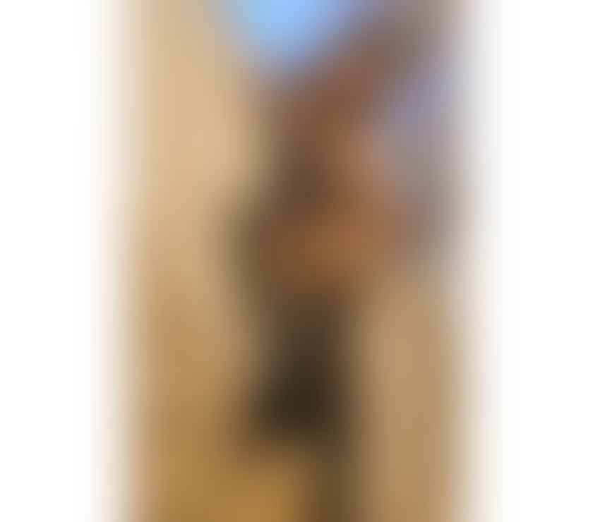 Escorts Shropshire Shrewsbury - Shropshire - Photos for Aisha Shrewsbury