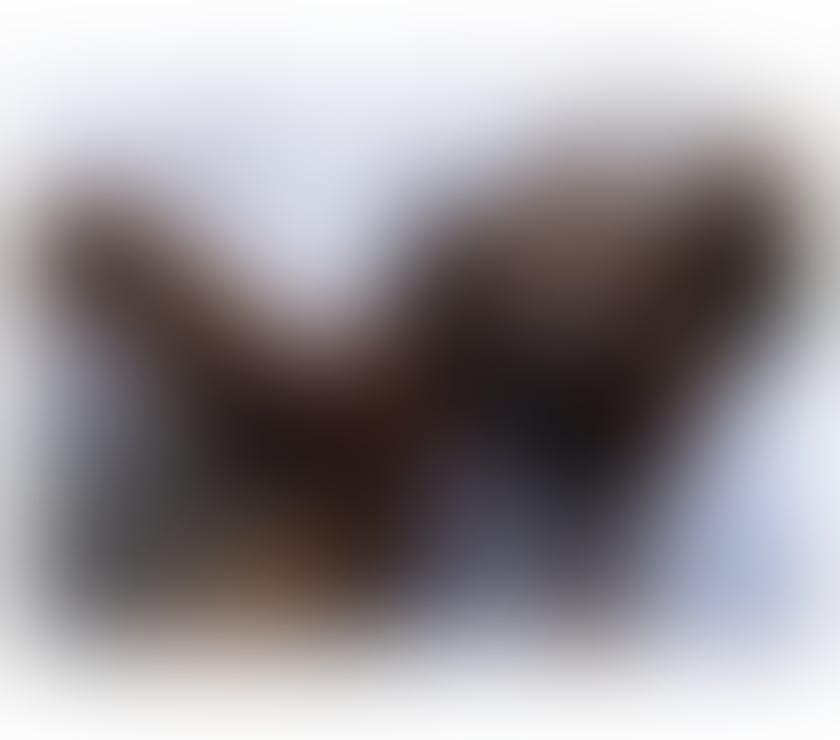 Escorts Greater Manchester Manchester - Photos for 🌟TOP🌟 💯 High Class🌸 Party 🥳