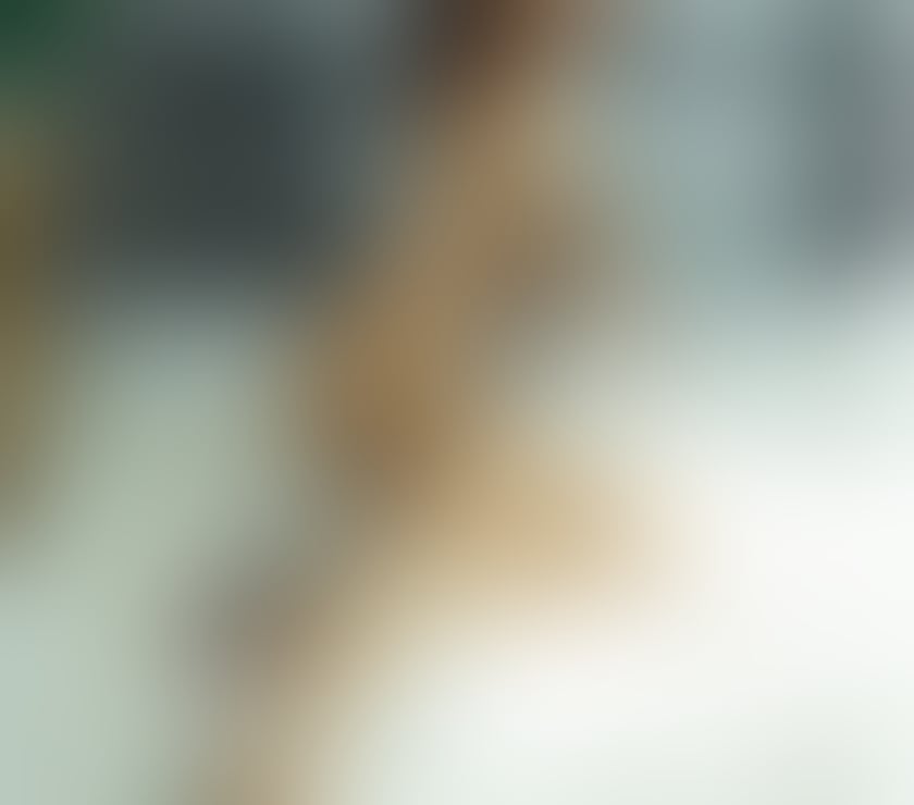 Escorts Essex Southend-on-Sea - Photos for Slim Sensual Exotic Thai Goddess new in Southend-on-Sea x
