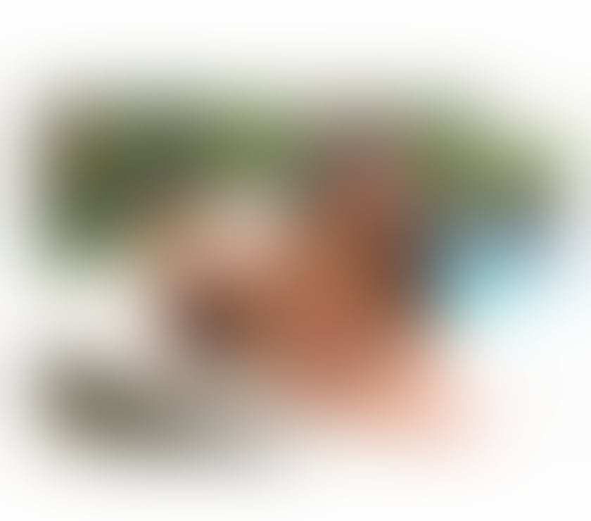 Trans Escorts North London Enfield - Photos for 🔥TS DOMINATRIX HOT YOUR BEST OPTION IN UK🔥