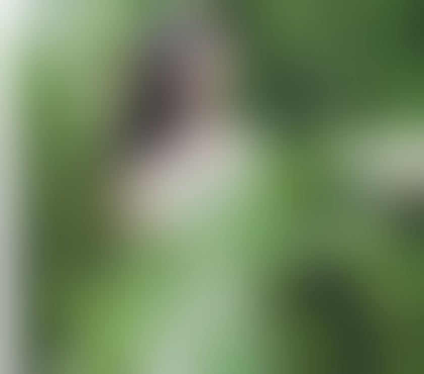  Escorts Congleton Cheshire East - Photos for 🌸New Arrival Caicai Oriental Massage 🌸