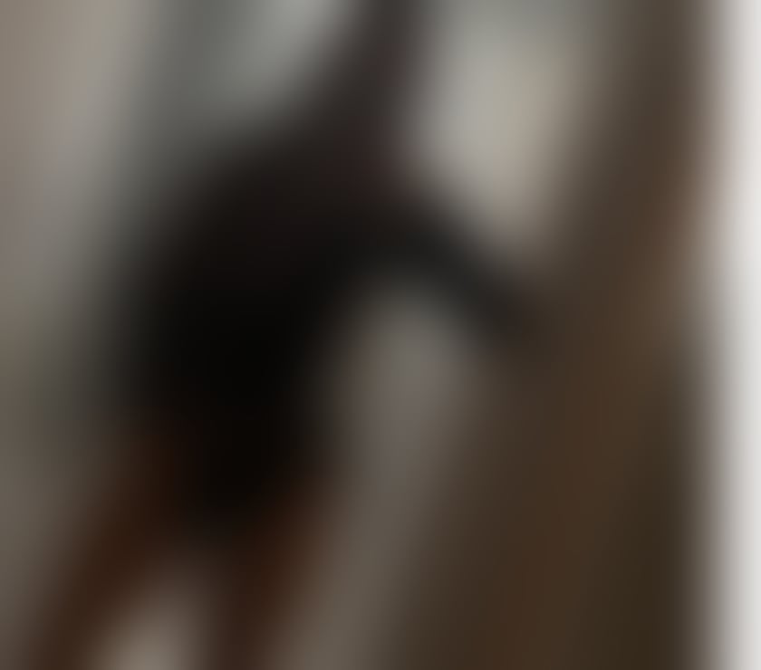 Escorts South West London Earls Court - South West London - Photos for Mistress Gabriella party girl