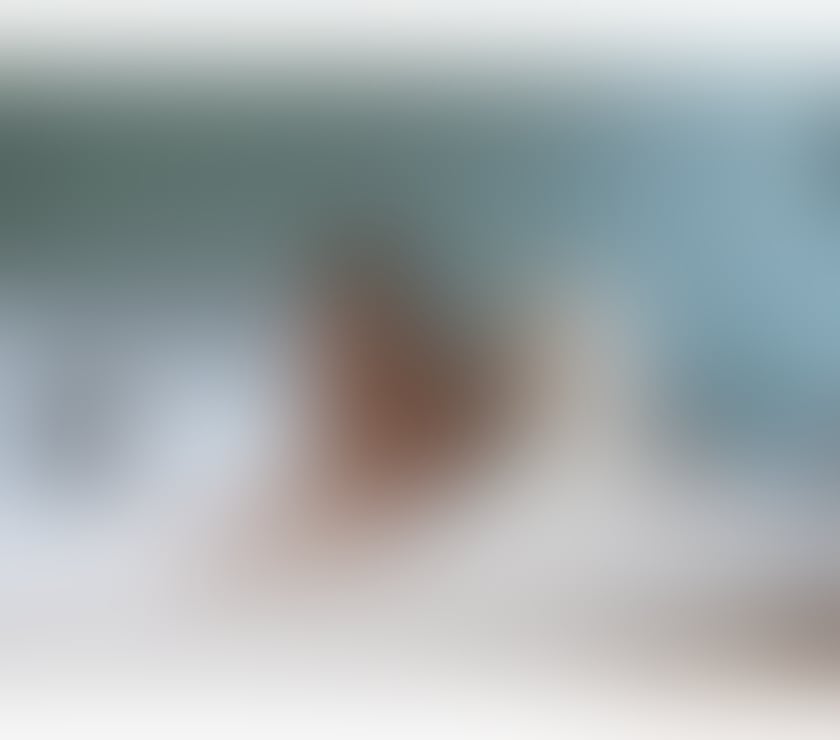 Escorts North London Manor House - North London - Photos for ⏱️We are open 247call us anytime ⏱️!