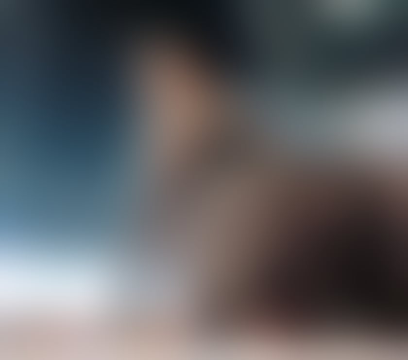 Escorts East London Redbridge - Photos for Vanessa🥰PARTY🥂REAL♥️🔥BEST SERVICES🥰NO RUSH