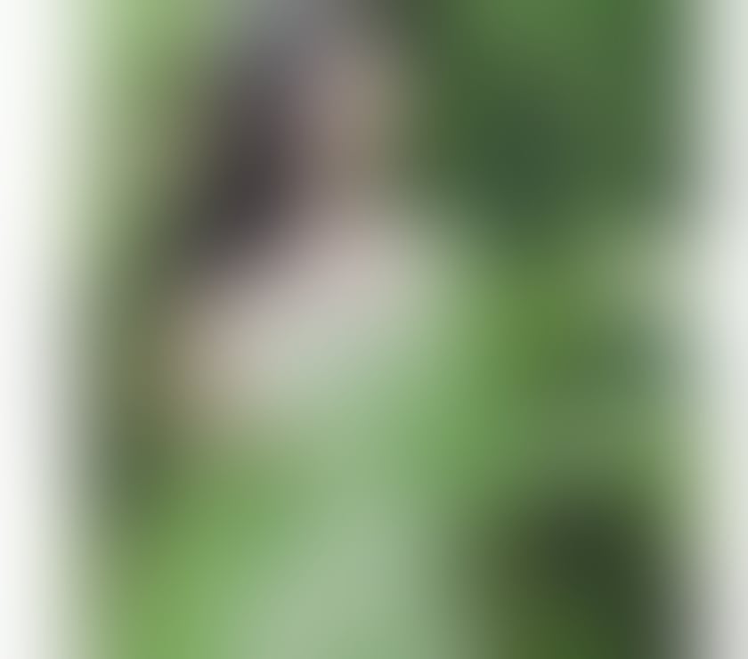 Escorts Newport - Wales Saint Julians - Newport - Photos for ☘️☘️New Hot Oil Massage Newport☘️☘️