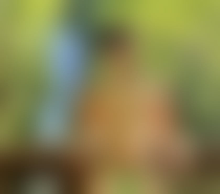 Gay massage Edinburgh Edinburgh - Edinburgh - Photos for Femboy text me any time