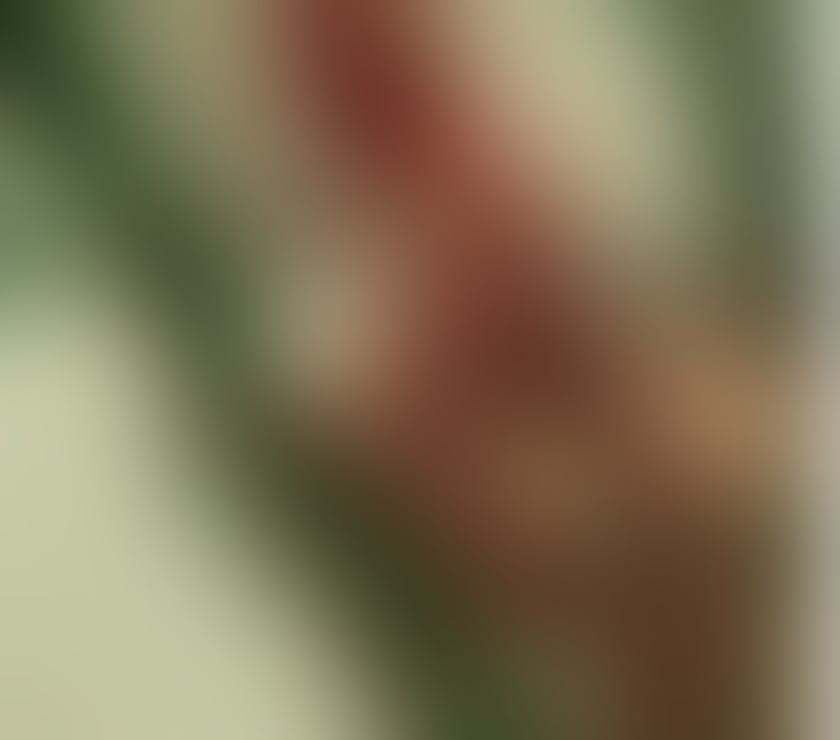 Escorts South West London Merton - Photos for Amazing relax Sensual massage
