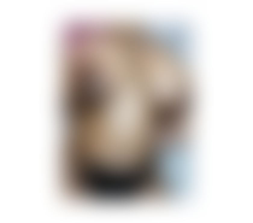 Escorts Central London Marble Arch - Central London - Photos for 🍭💦BBW SUKI GOOD👅💋 THROATMONSTER 🩷✨mix ebony