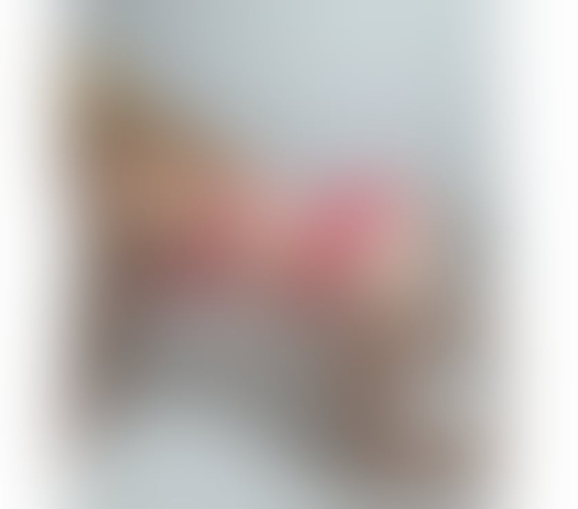 Escorts East London Havering - Photos for Eve 🫶New in Town🫶Best Service 👅