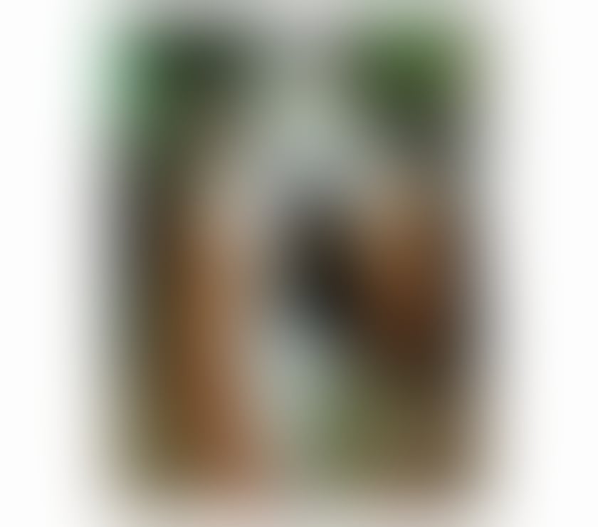  Gay massage Durham County Durham - Photos for MATTEO FERRARI PARTY BOY 8 INCH (NEW HERE)