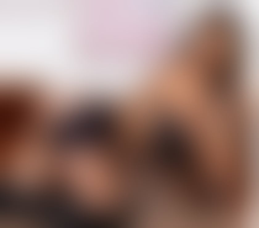 Escorts Stratford East London - Photos for ❤️🌹🌺 LARISSA BLOND FROM 40£ 🌺🌹❤️